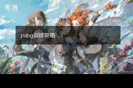 pubg训练攻略