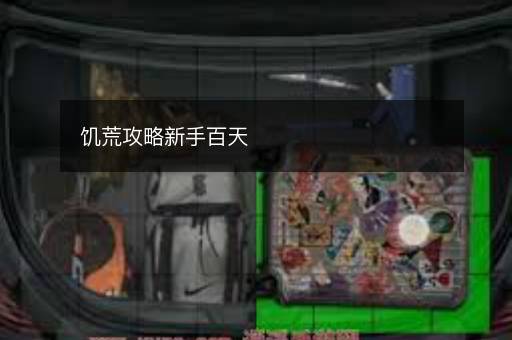饥荒攻略新手百天
